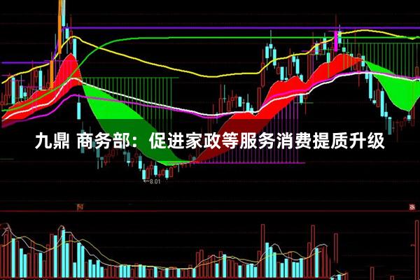 九鼎 商务部：促进家政等服务消费提质升级