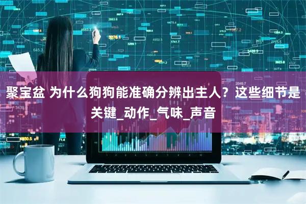聚宝盆 为什么狗狗能准确分辨出主人？这些细节是关键_动作_气味_声音