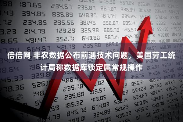 倍倍网 非农数据公布前遇技术问题，美国劳工统计局称数据库锁定属常规操作