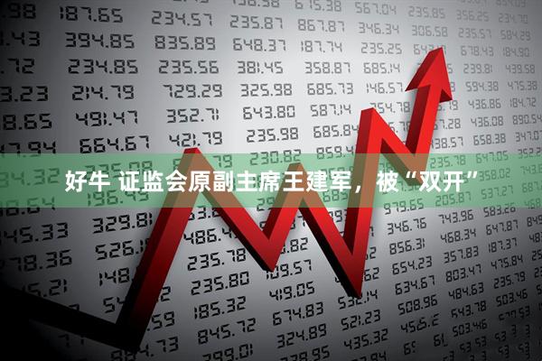 好牛 证监会原副主席王建军，被“双开”